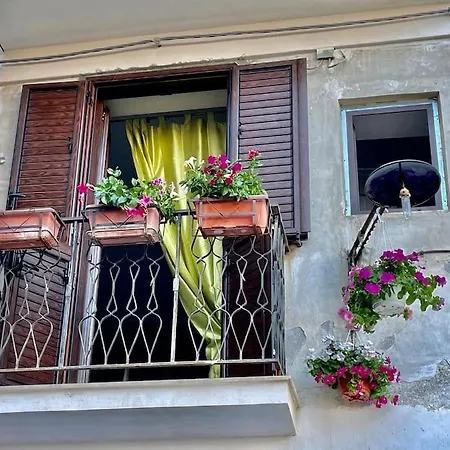 Cozy Close By The Aragones Castle